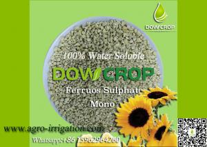 China DOWCROP HIGH QUALITY 100% WATER SOLUBLE MONO SULPHATE FERROUS 30% LIGHT GREEN GRANULAR MICRO NUTRIENTS FERTILIZER wholesale