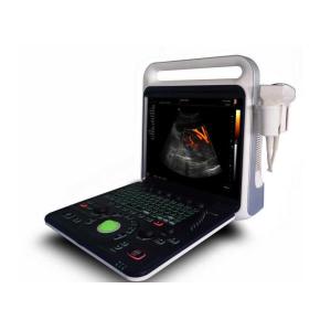 4d Ultrasound Machine Portable Ultrasound Scanner With 3D And Phased Array Probe