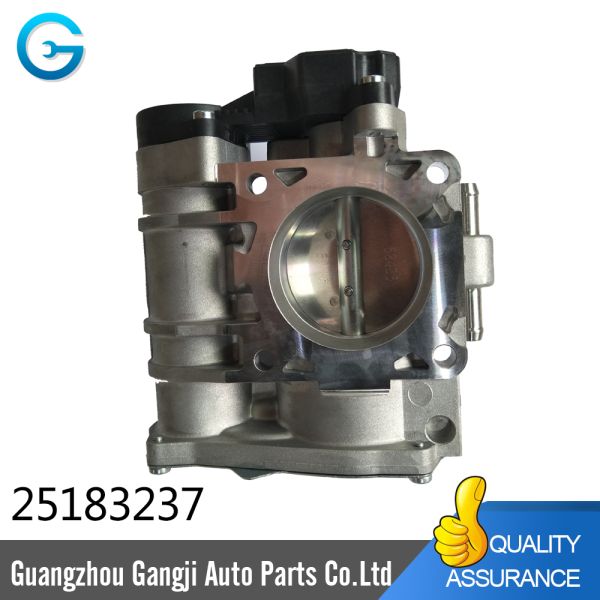 Throttle Body Assy 25183237 96417720
