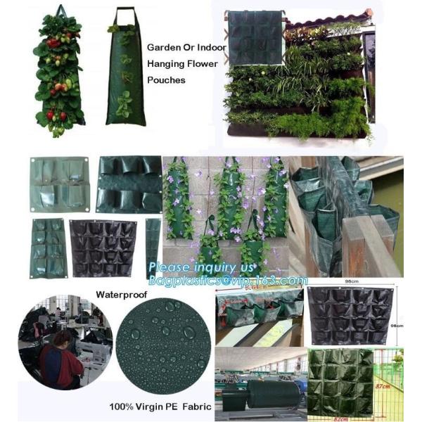 customized waterproof green pe car protector,environmental firendly, car boot liner, reusable, durable,economical,sample