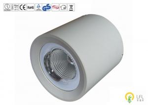 China D193*H193mm Ceiling Mounted LED Lights , 40W 4800lm Surface Mount LED Lights wholesale