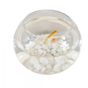 China fish bowl glass,circle bowl fish glass,clear fish bowl,clear glass decorative bowls on sale