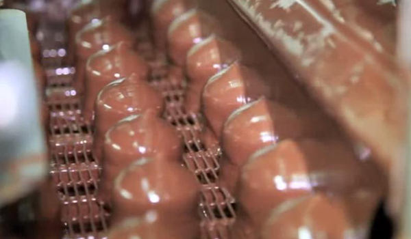 350KG/H Automatic Marshmallow Depositor Stainless Steel Industrial Easy Operated