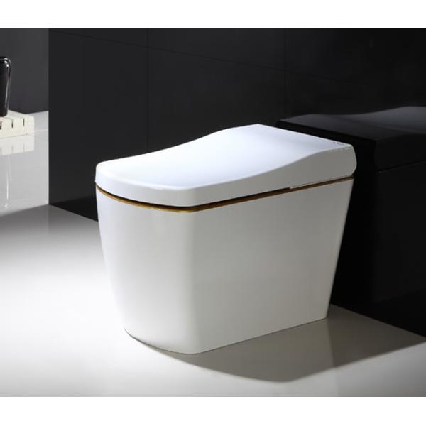 Temperature Regulation Auto Wash Toilet Bathroom Sanitary Ware White Color