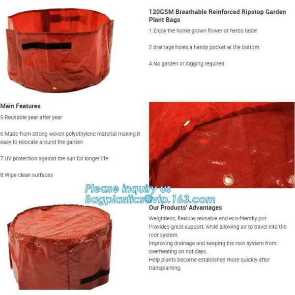 customized waterproof green pe car protector,environmental firendly, car boot liner, reusable, durable,economical,sample