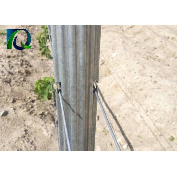 H Shape Holes Metal Vineyard Trellis Posts 1.5mm-2.0mm Thickness High Strength