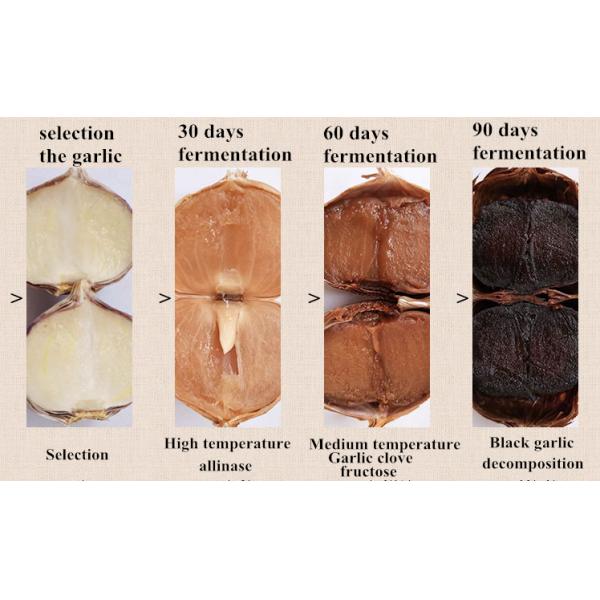 Food Beverage Black Garlic Fermenter Machines with Capacity of 100--480kg/time and Great