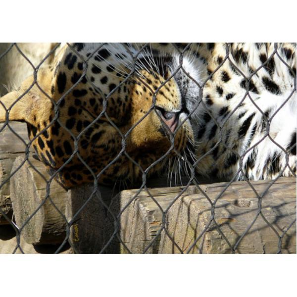 7x7 And 7x19 Knotted Black Oxide Wire Rope Mesh With SGS / CE Certified