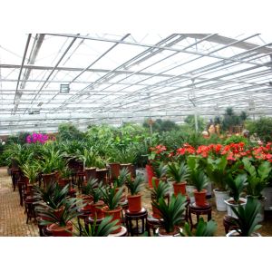 China Exhibition Commercial Outdoor Greenhouse , Flower Growing Large Green Houses wholesale