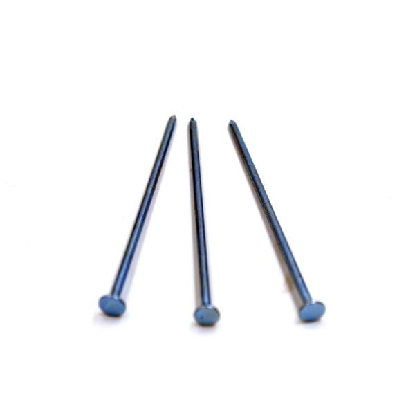 Quality Blue Coated Concrete Nail for sale