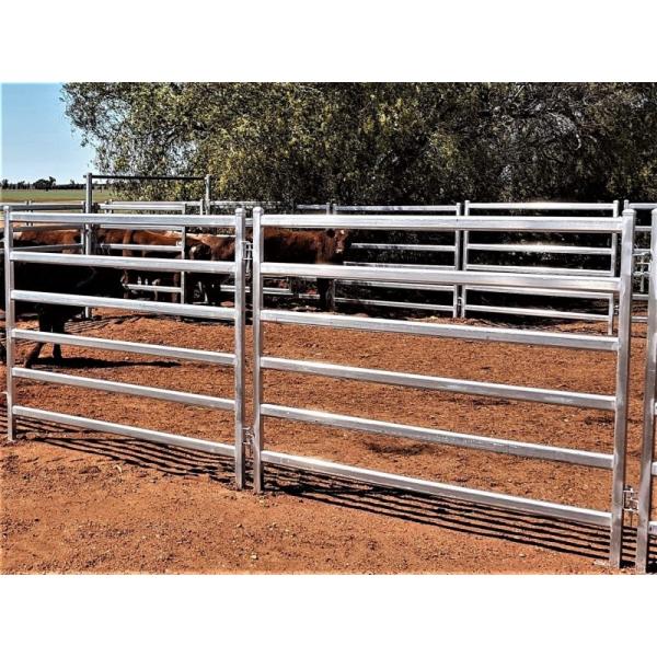 Durable High Strength Portable 40x80mm Oval Rail Cattle Yard Gates 2.1m Width
