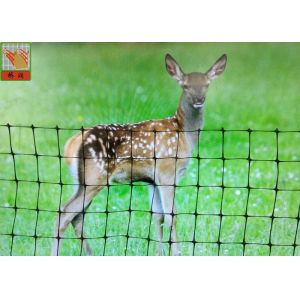 China Deer Fence , Deer Fence Netting , For Garden , Hole Size 20mm, 100 Meters Length, PP Netting wholesale
