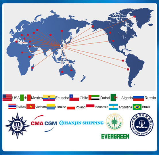 Competitive 1x7/7x7/7x19 SUS 304 Stainless Steel Wire Rope with Steel Core Construction and Types