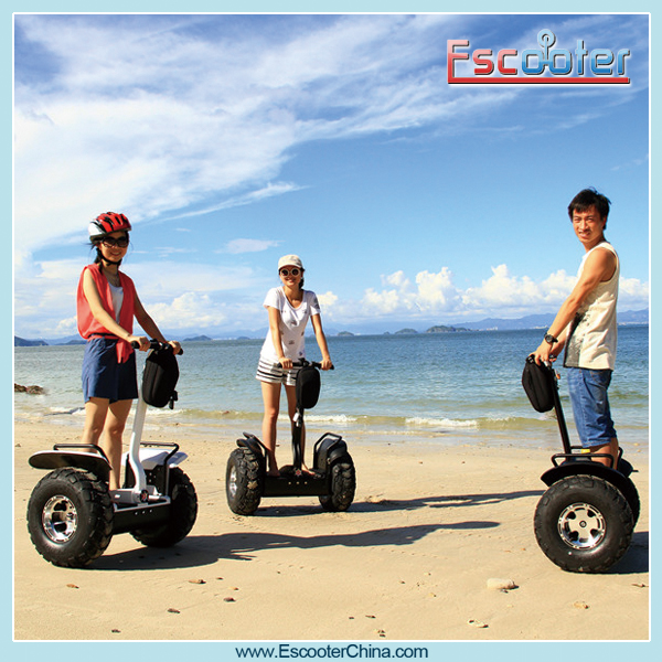 2 wheeler electric scooter standing balancing scooter windrover cheap price in China