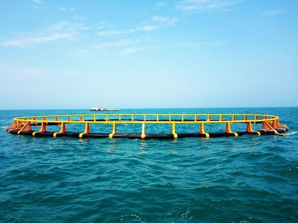 China Black and Yellow Floating Fish Farming Net Cage Customized in Kenya wholesale