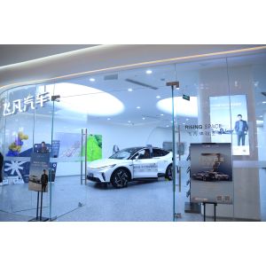 Chongqing Dingrao Automobile Sales Service Co., Ltd.