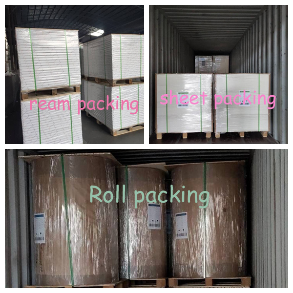 High Quality Wood Pulp Matt Art Paper Roll 80g Offset Printing For Book Magazine