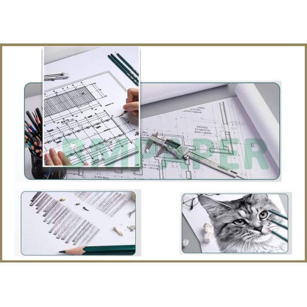 Wide Format 80gsm White Bond Plotter Paper Roll 18'' 24'' x 500ft 3'' Core