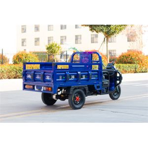 Blue Utility Electric Tricycle Truck Cargo E Trike Truck 1000W