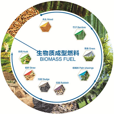 5-6t/H CE Wood Pellet Making Machine , Sawdust Straw Wood Press Mill Machine