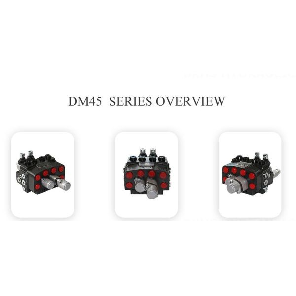 DM45 Manual And Pneumatic Directional Control Valve For Construction Sanitation