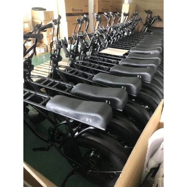 20" Big Fat Long Range Electric Bikes Cycle Snow Aluminum 36v 10ah 350w