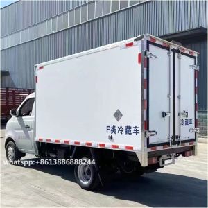 Gasoline Small Refrigerated Truck Mini Freezer Refrigerator Truck