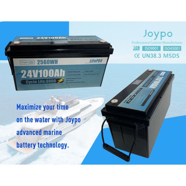 24V Marine Deep Cycle Battery Lithium Iron Phasphate Fishing Boat Battery 100Ah 200Ah