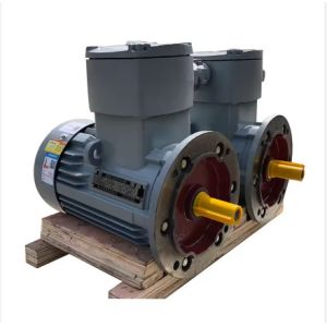 China Industry Application Asynchronous Three Phase Flame Proof Electric Motor wholesale