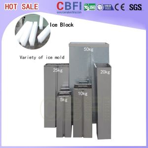 China CBFI BBI - 01 - S2 / BBI - 1000 Ice Block Machine For Freezing Meat / Vegetables wholesale