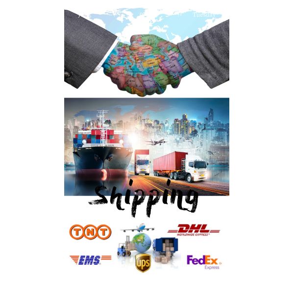 OEM 91A21-00401 Truck Clutch Disc and Clutch Plate for Mitsubishi 1991-1999 Models