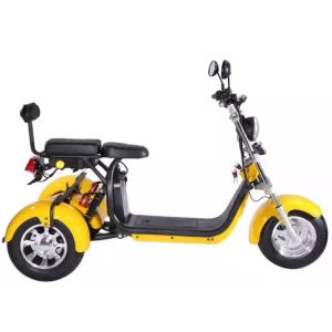 EEC Citycoco Tricycle 3 Wheel Electric Scooter 2000w 1000w 1500w