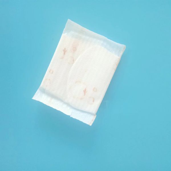 ISO9001 CE Certified Customized Herbal Anion Women's 2022 Incontinence Panty Liner