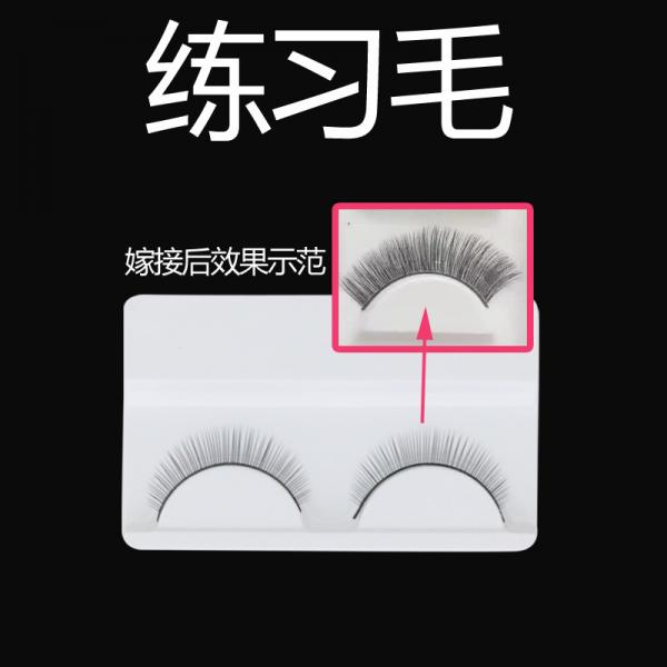 Quality Natural Shape False Strip Eyelashes Thick False Eyelashes For Small Eyes for sale