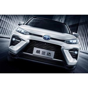 Wilanda 2024 Compact SUV Dual Engine 2.5L Two-wheel Drive Luxury PLUS Version