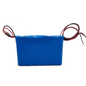 18650 12V 4000mAh Custom Battery Packs for Lights