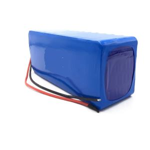 102.4WH 12Ah 24V LiFePO4 Lithium Battery Multi Function Durable