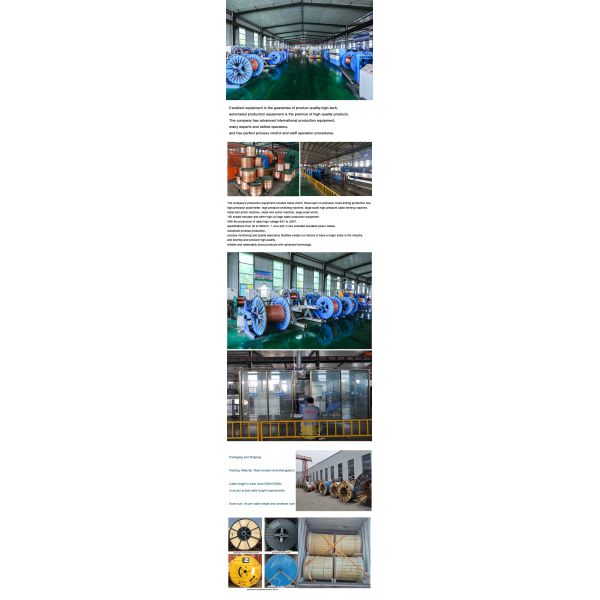 26/35KV Single Core Copper Wire Armour Cu/XLPE/PVC/STA Medium Voltage Cables