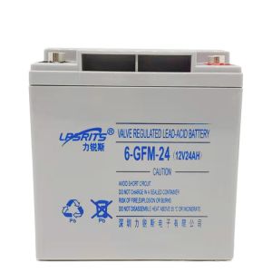 China LIRUISI 6-GFM-38Ah 12V 38Ah valve sealed UPS lead-acid battery wholesale