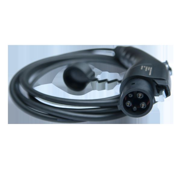 Safe Fast Public Electric Vehicle Charging Stations J1772 Ev Charger Type 1 Agent