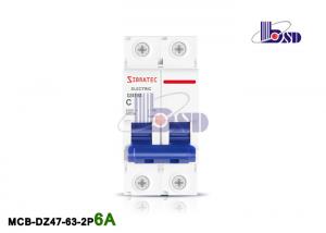 China 6Amp Double Pole Circuit Breaker / Plastic Small C Curve Circuit Breaker on sale
