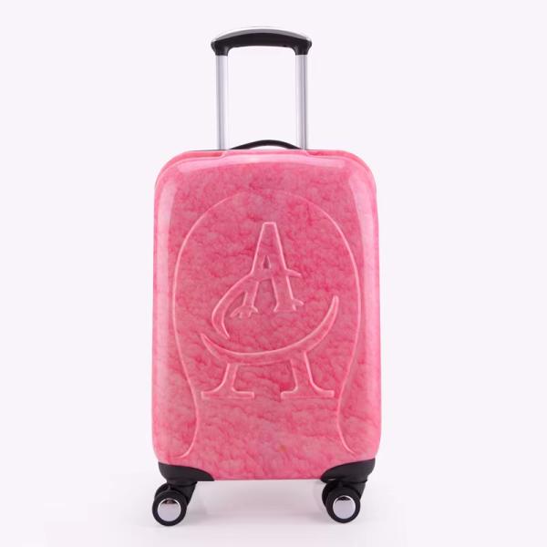 Outdoor Travel Unisex Kids Luggage with TSA Lock OEM Customized Durable Spinner Suitcases