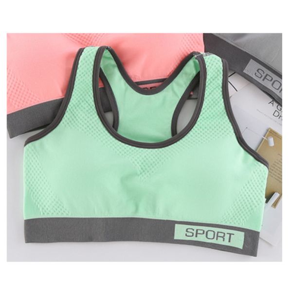 Solid Women High Impact Sports Bra Antishock Quick drying Short