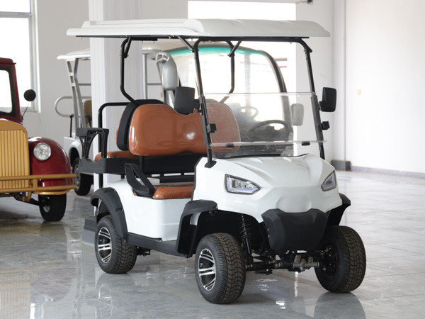 Lithium Ion EV Advanced Golf Cart 48 Volt Golf Buggy Custom