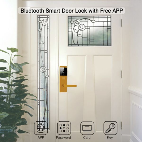 4 Unlocking Ways Password App Keyless Digital Door Lock for Apartment Home Office