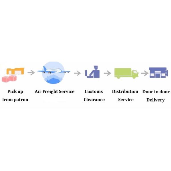 Professional Worldwide Sea Freight Forwarder China - Europe Hamburg