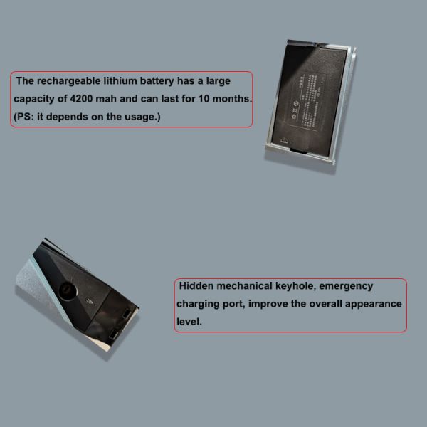 OEM ODM Fingerprint Handle Door Lock Face Recognition Zinc Alloy Material
