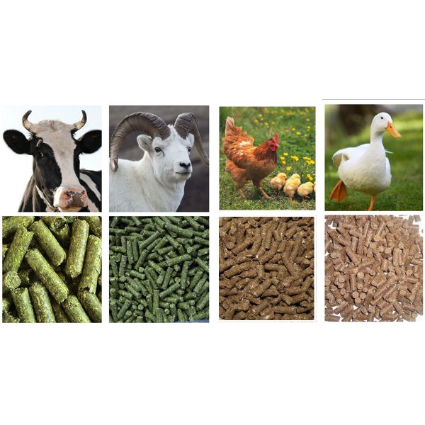 Livestock Chicken Feed Manufacturing Plant , PLC Poultry Feed Production Line