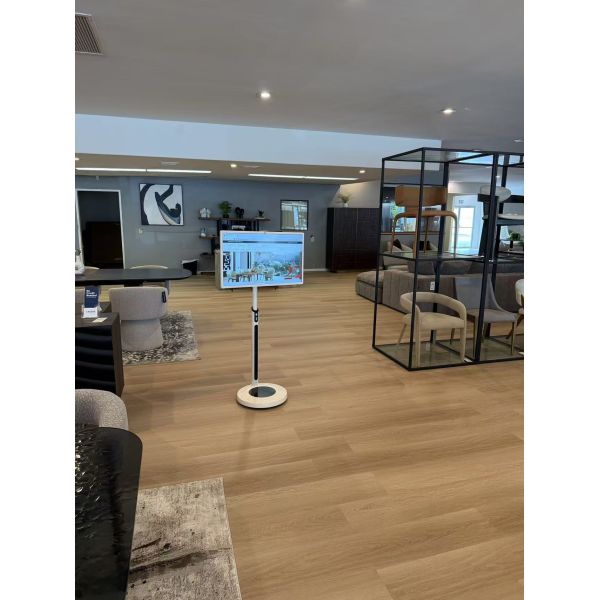 32 inch Standby me TV Portable Smart TV Touch Screen Interactive Wireless Display