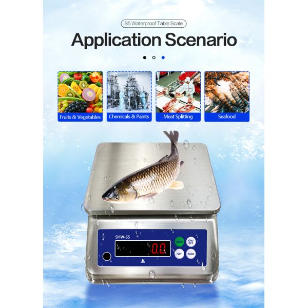 6kg Maximum Weighing Stainless Steel Scale with Dual Display and IP68 Waterproof Rating